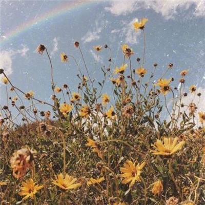 新利luck备用网址